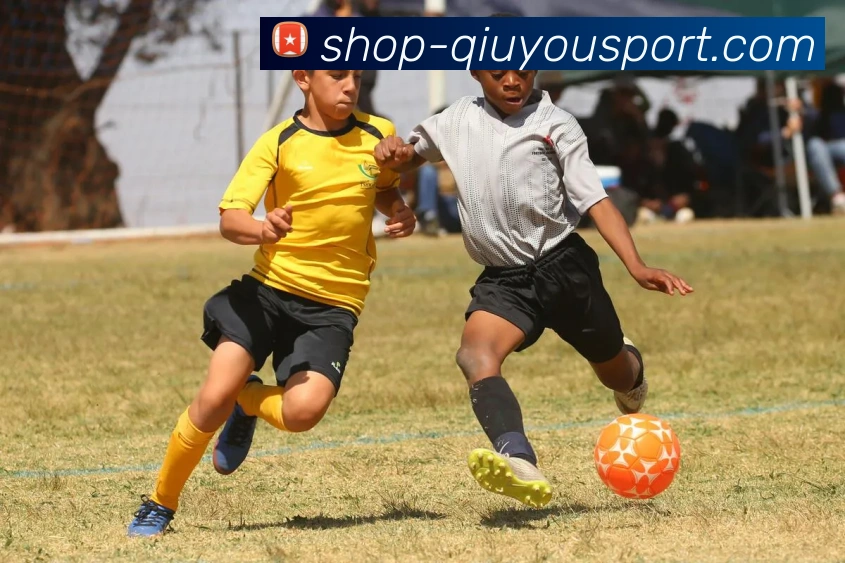 球友会平台生态图